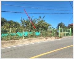  2024Ÿ��4037 �泲 ������ ������ ������ 417-1      ����(����)���