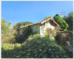  2024Ÿ��4037 �泲 ������ ������ ������ 417-1      ����(����)���