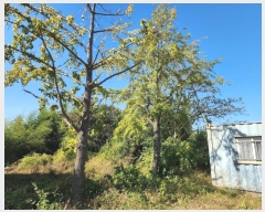  2024Ÿ��4037 �泲 ������ ������ ������ 417-1      ����(����)���