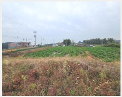  2024Ÿ4235 泲  ۾ ΰ 45-4      (1)