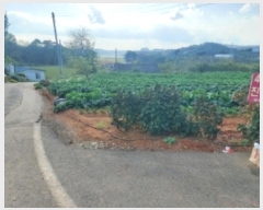  2024Ÿ4235 泲  ۾ ΰ 45-4      (1)