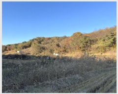  2024Ÿ4679 泲  ۾  320-1      (Ӿ)