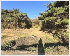  2024Ÿ4679 泲  ۾  320-1      (Ӿ)