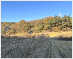  2024Ÿ4679 泲  ۾  320-1      (Ӿ)