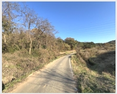  2024Ÿ4679 泲  ۾  320-1      (Ӿ)