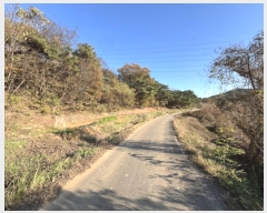  2024Ÿ4679 泲  ۾  320-1      (Ӿ)