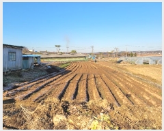  2024Ÿ4785 泲    787-1      (1)