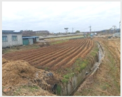  2024Ÿ4785 泲    787-1      (1)