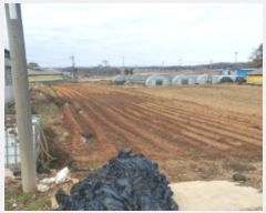  2024Ÿ4785 泲    787-1      (1)