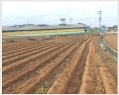  2024Ÿ4785 泲    787-1      (1)