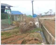  2024Ÿ4785 泲    787-1      (1)