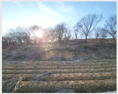  2024Ÿ��4914 �泲 ������ ����� �ʴ븮 628-31      ����(�Ӿ�)���