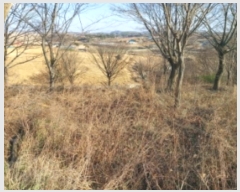  2024Ÿ��4914 �泲 ������ ����� �ʴ븮 628-31      ����(�Ӿ�)���