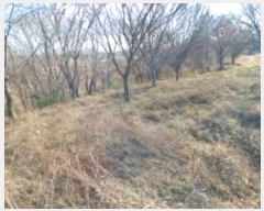  2024Ÿ��4914 �泲 ������ ����� �ʴ븮 628-31      ����(�Ӿ�)���