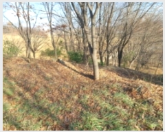  2024Ÿ��4914 �泲 ������ ����� �ʴ븮 628-31      ����(�Ӿ�)���