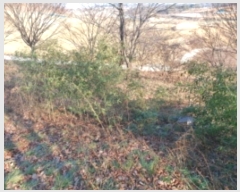  2024Ÿ��4914 �泲 ������ ����� �ʴ븮 628-31      ����(�Ӿ�)���