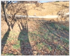  2024Ÿ��4914 �泲 ������ ����� �ʴ븮 628-31      ����(�Ӿ�)���