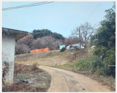  2024Ÿ��4983  �����