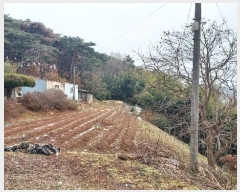  2024Ÿ��4983  �����