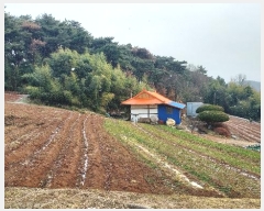  2024Ÿ��4983  �����