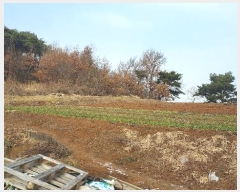  2024Ÿ��4983  �����