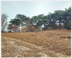  2024Ÿ��4983  �����