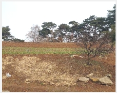  2024Ÿ��4983  �����