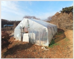  2024Ÿ��4983  �����