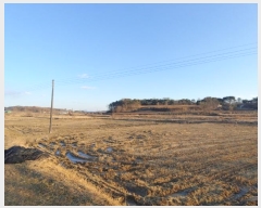  2024Ÿ5221 泲  ۾ õ 226      ()