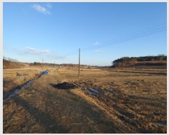  2024Ÿ5221 泲  ۾ õ 226      ()