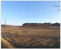  2024Ÿ5221 泲  ۾ õ 226      ()