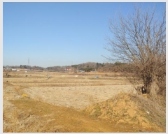  2024Ÿ5221 泲  ۾ õ 226      ()