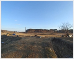  2024Ÿ5221 泲  ۾ õ 226      ()