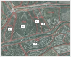  2024Ÿ5221 泲  ۾ õ 226      ()