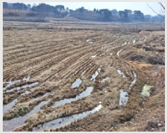  2024Ÿ5221 泲  ۾ õ 226      ()