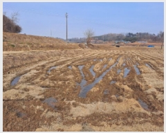  2024Ÿ5221 泲  ۾ õ 226      ()