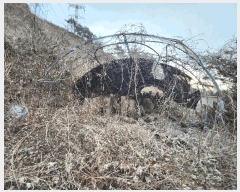  2024Ÿ��5283 �泲 ������ ���̸� ���긮 ��26      ����(�Ӿ�)���