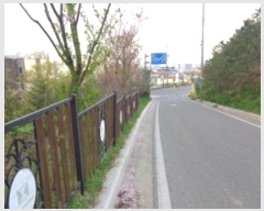  2024Ÿ��52821  ���ΰ��