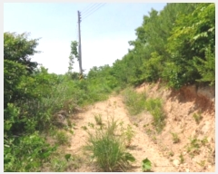  2024Ÿ54704 泲 ¾ȱ ϸ Ȳ̸ 210      (Ӿ)