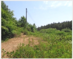  2024Ÿ54704 泲 ¾ȱ ϸ Ȳ̸ 210      (Ӿ)