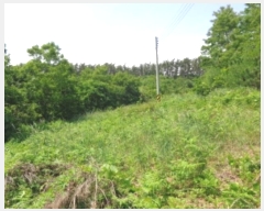  2024Ÿ54704 泲 ¾ȱ ϸ Ȳ̸ 210      (Ӿ)