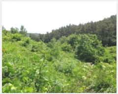  2024Ÿ54704 泲 ¾ȱ ϸ Ȳ̸ 210      (Ӿ)