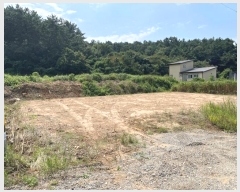  2024Ÿ57444 泲 ¾ȱ  ݸ 1176      ð