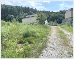  2024Ÿ57444 泲 ¾ȱ  ݸ 1176      ð