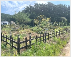  2024Ÿ57444 泲 ¾ȱ  ݸ 1176      ð