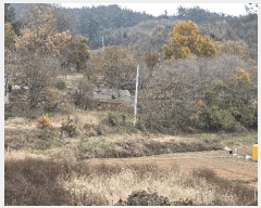  2024Ÿ��59969 �泲 �¾ȱ� ���ϸ� �̰ 685      ���ð��