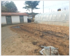  2024Ÿ��60341 �泲 ������ �۾��� ��踮 122-1      ����(��1)���