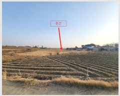  2024Ÿ60815 泲   긮 297      ()