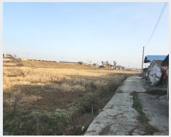  2024Ÿ60815 泲   긮 297      ()