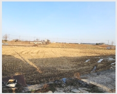  2024Ÿ60815 泲   긮 297      ()